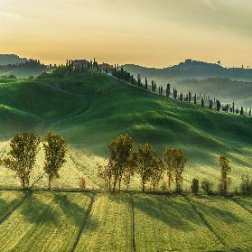 Sunny Tuscany