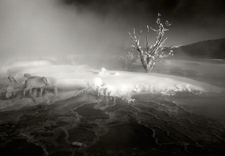 Mammoth Hot Springs, 2009