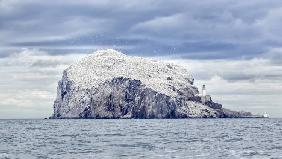 Bass Rock