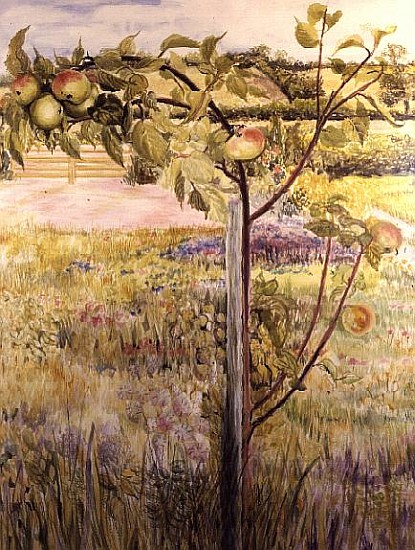 Apple Tree in a Suffolk Landscape (w/c)  van Joan  Thewsey