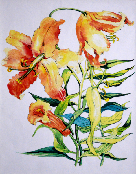 Orange Lilies 1 van Joan  Thewsey