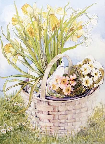 Daffodils and primroses in a basket