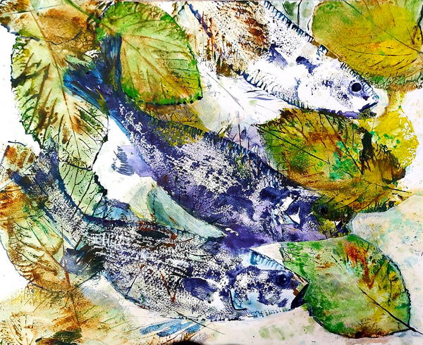 beautiful fish van jocasta shakespeare