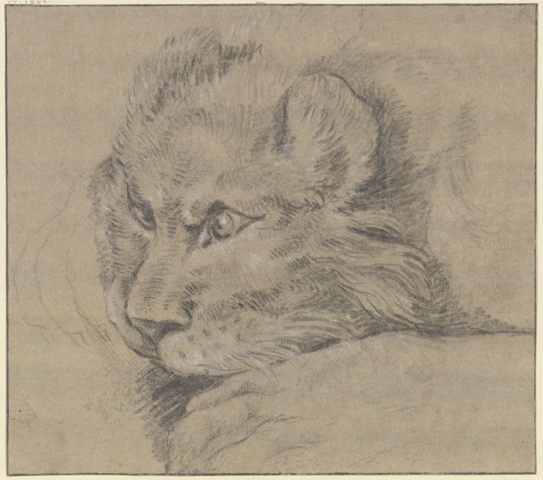 Lions head van Johann Elias Ridinger
