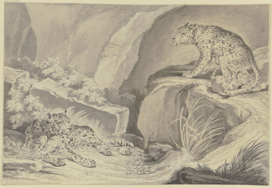 Zwei Jaguare mit ihren Jungen in einer Felsenkluft van Johann Elias Ridinger