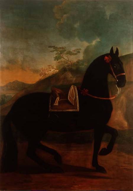 A Black Horse sporting a Spanish Saddle van Johann Georg Hamilton