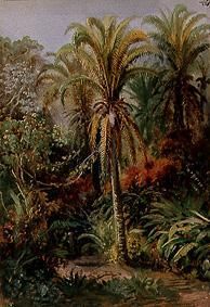 Tropische Vegetation van Johann Moritz Rugendas