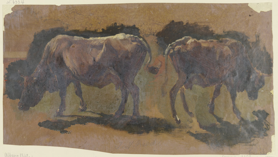 Two cows in Albano van Johann Nepomuk Rauch
