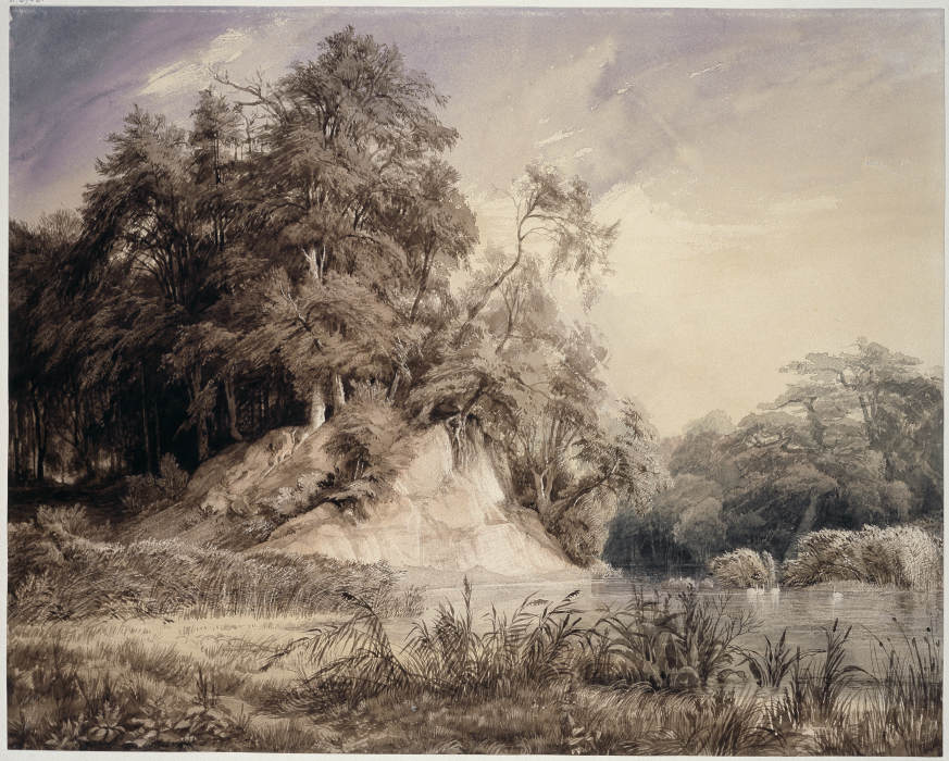 Forest Landscape with Lake and Swans van Johann Wilhelm Schirmer