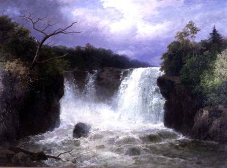 The Falls of the Hespte, South Wales van John Brandon Smith