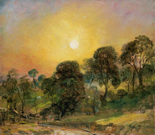 Trees on Hampstead Heath at Sunset (oil on paper) van John Constable