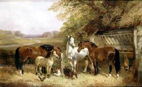 Farm Animals in a Landscape