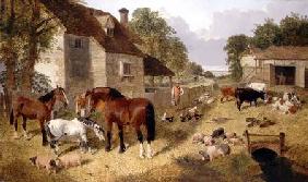 Farmyard Scene