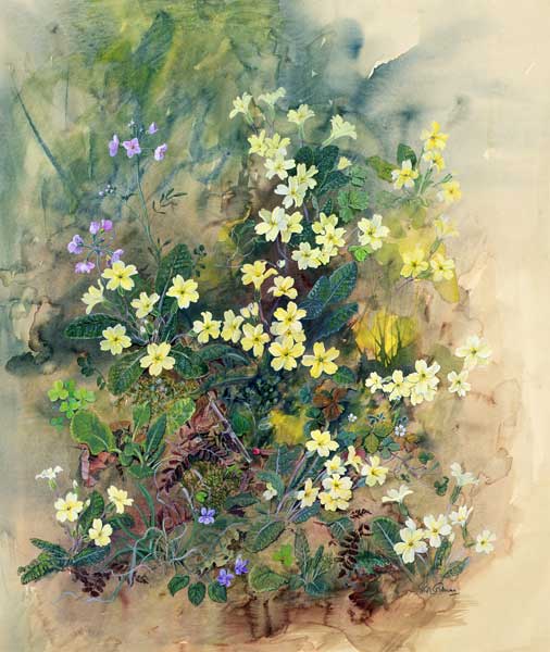 Primrose Bank  van John  Gubbins