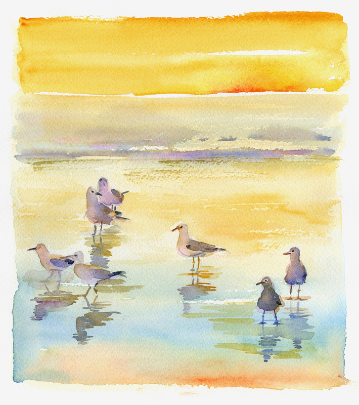 Seagulls on beach van John Keeling