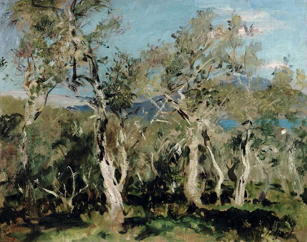 Olives, Corfu van John Singer Sargent