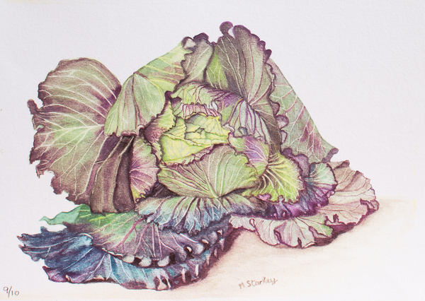 Cabbage van Margo Starkey