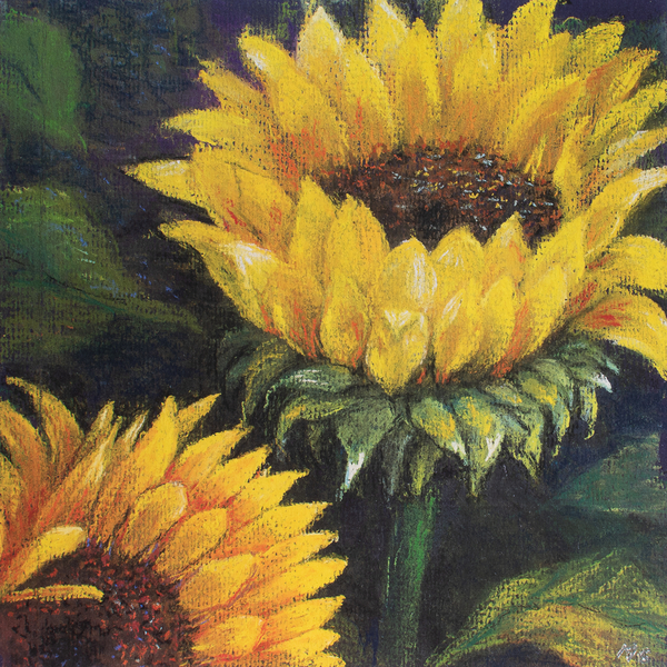 Sunflowers van Margo Starkey
