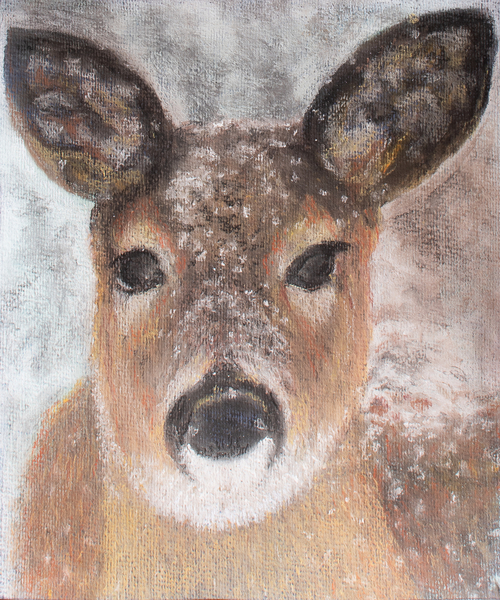 Young Deer in Winter van Margo Starkey