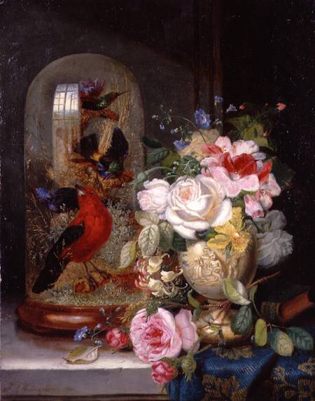 A Still Life with Roses in a Vase beside Exotic Birds in a Glass Case van John Wainwright