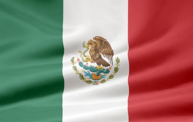 Mexikanische Flagge van Juergen Priewe