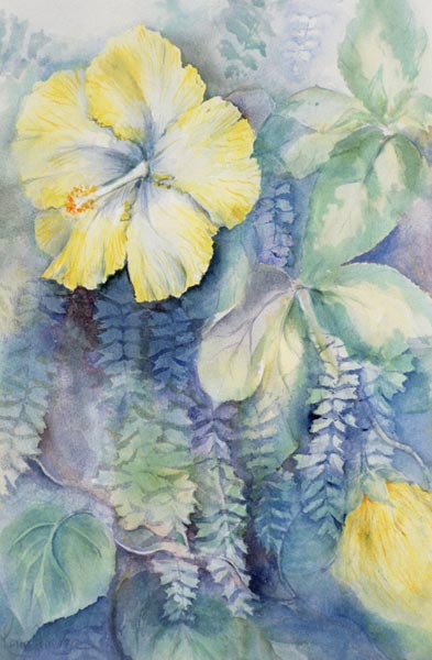 Hibiscus, yellow  van Karen  Armitage