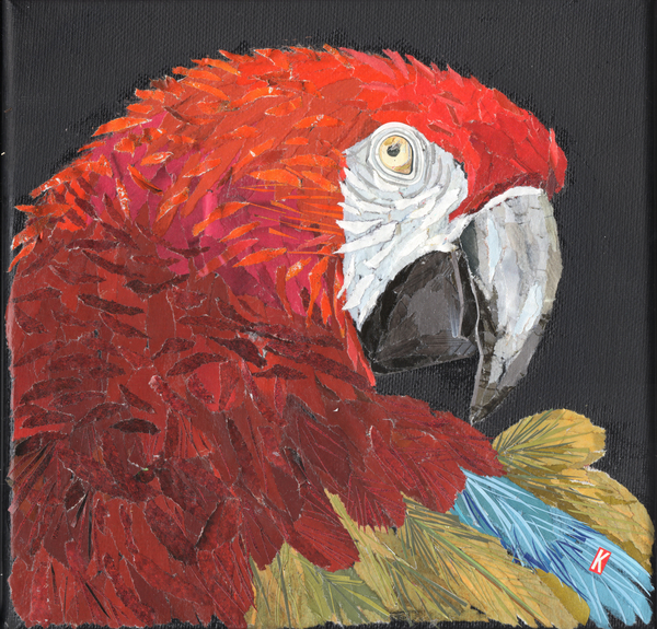 Red Macaw Parrot van Kirstie Adamson