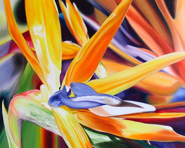 Birds of Paradise van James Knowles