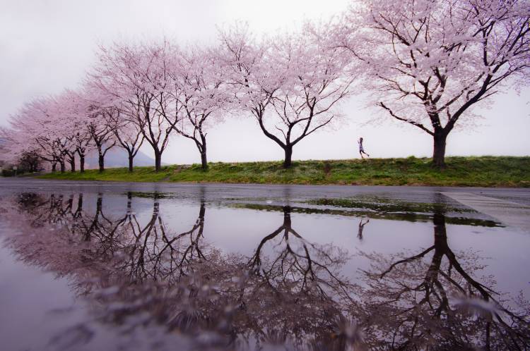 Rain of spring van Kouji Tomihisa