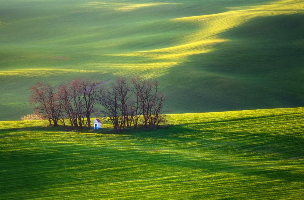 Fields... van Krzysztof Browko