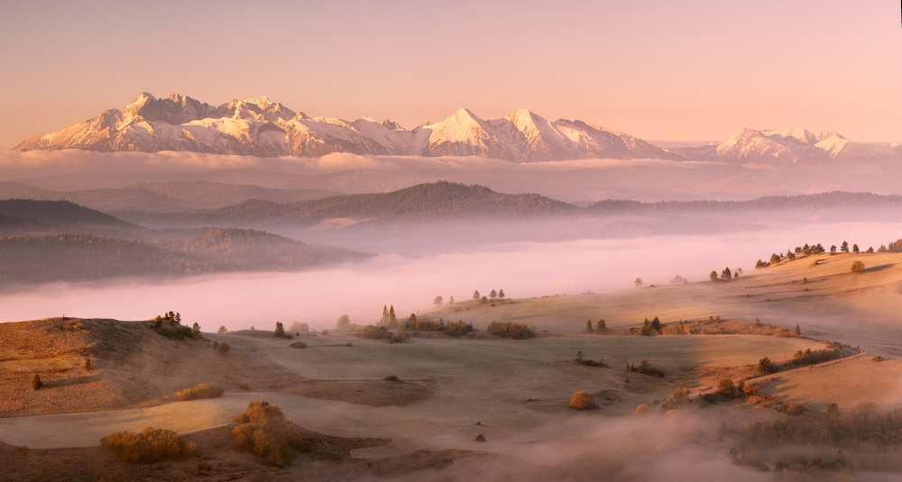 Fog Tatra van Krzysztof Mierzejewski