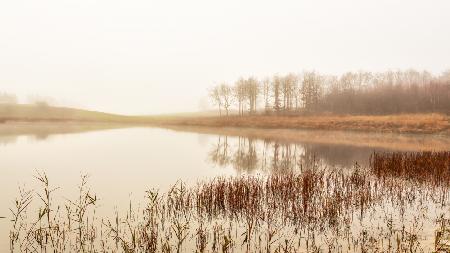 Calm lake