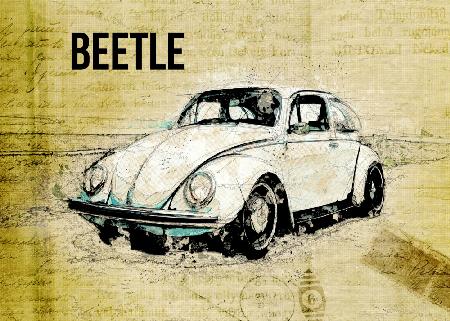 Volkswagen vw beetle