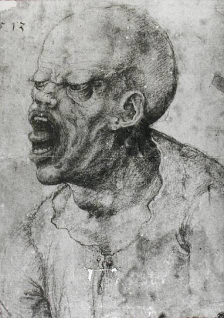 Portrait of a Man Shouting van Leonardo da Vinci