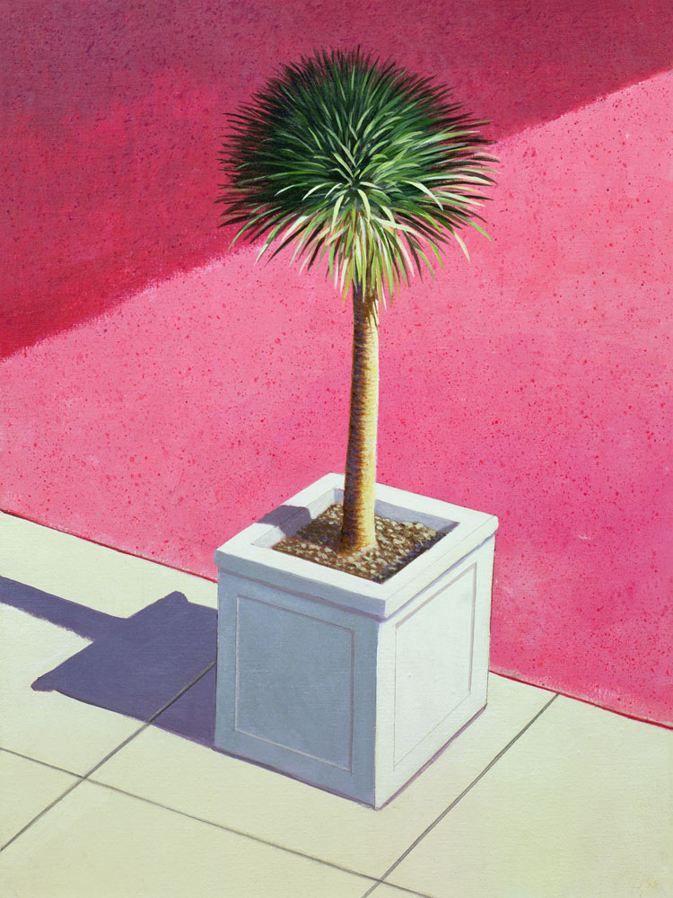 Small palm, 1995 (acrylic on canvas)  van Lincoln  Seligman