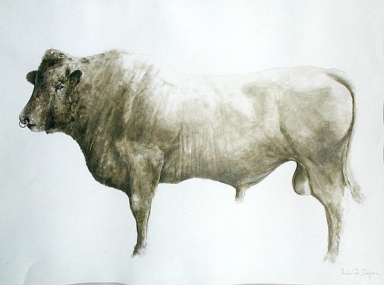Islay Bull, 2004 (acrylic on canvas)  van Lincoln  Seligman