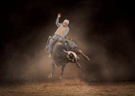 Bull Riding #4