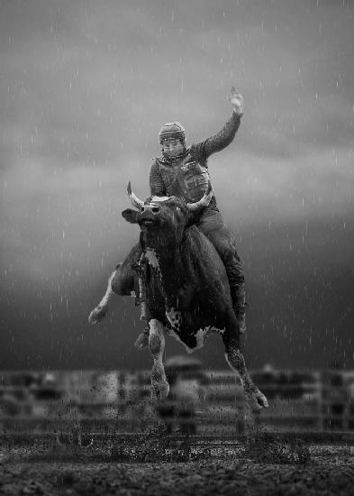 Bull Riding  Ontario #2