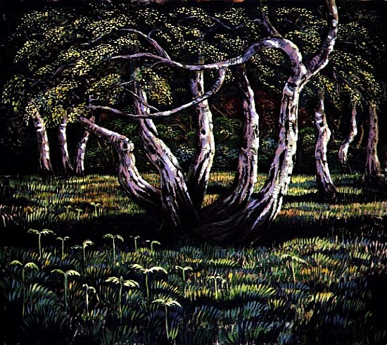 Silver Birch Trees, 1988  van Liz  Wright