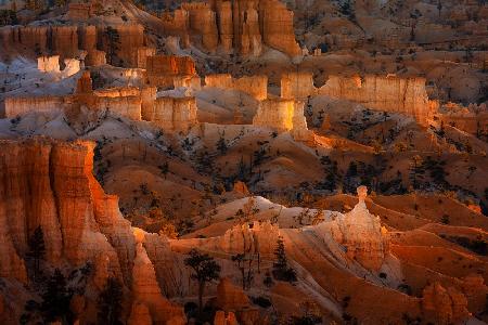 Bright Hoodoos