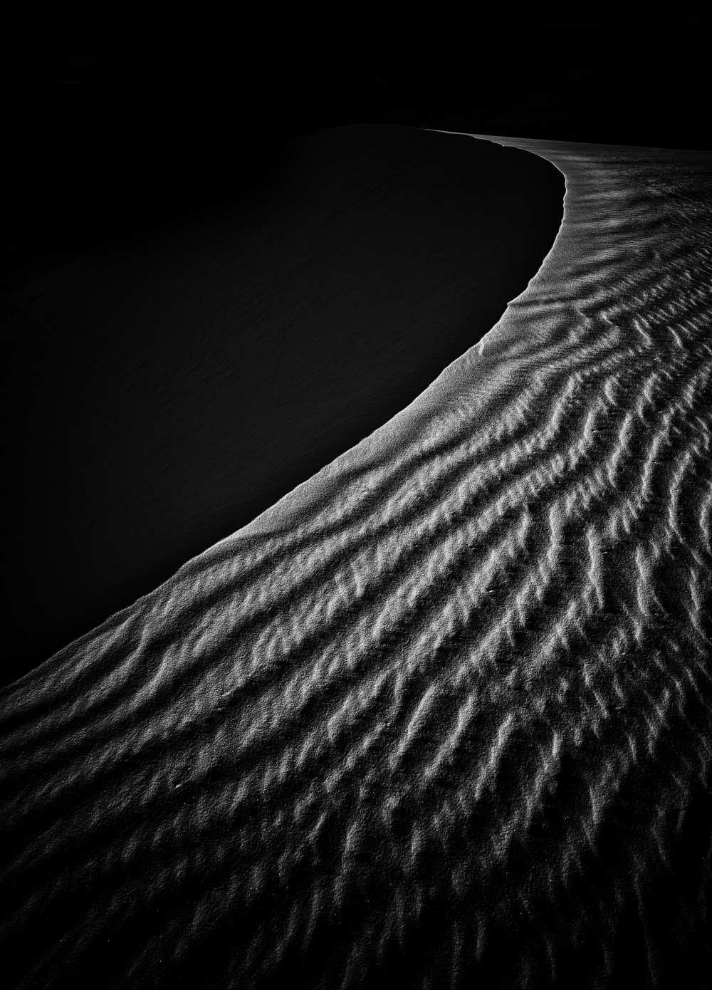 Sand Dune van Lydia Jacobs