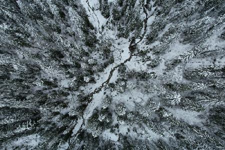 Vancouver first snow