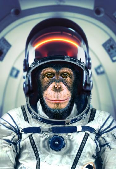 AstroMonkey