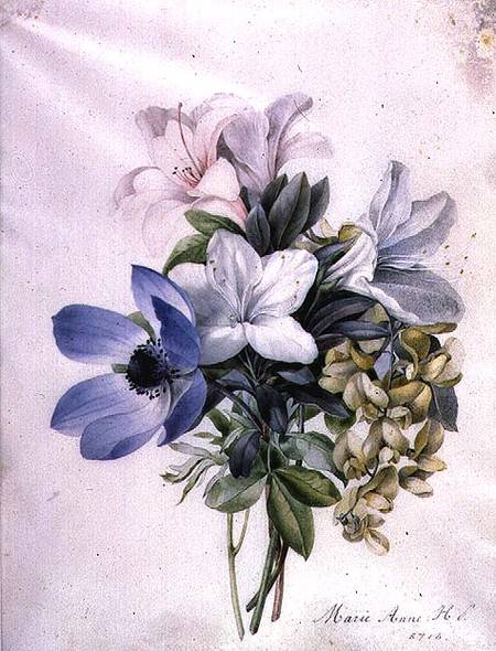 Anemone, wisteria and laburnum van Marie-Anne