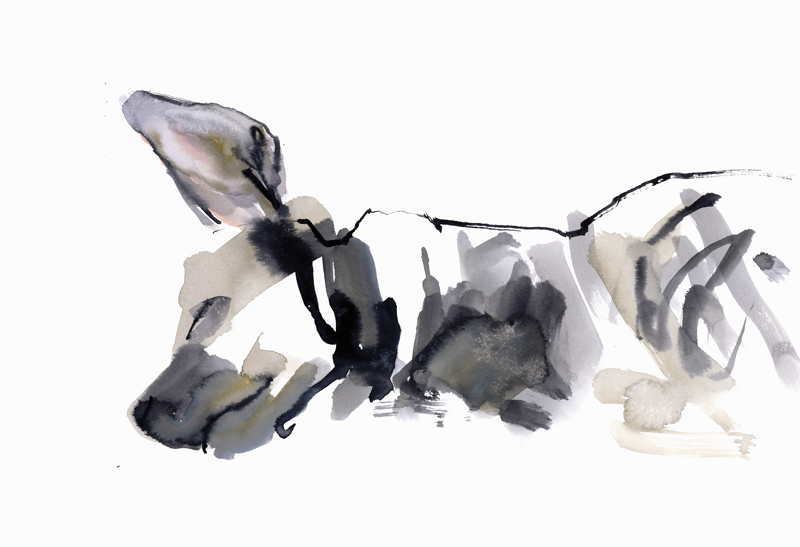 Sleeping Hyaena van Mark  Adlington