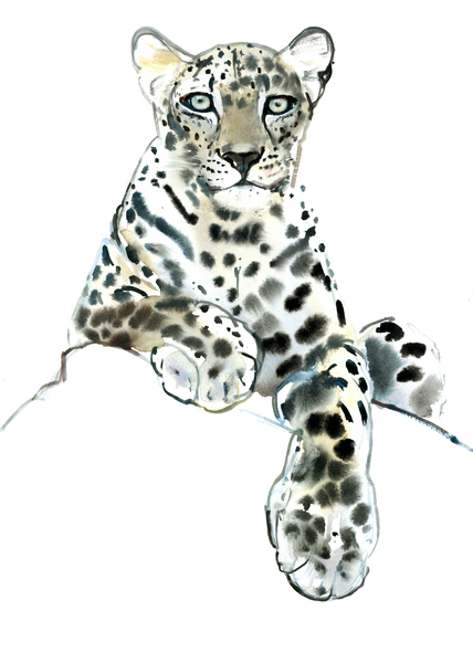 Direct (Arabian Leopard) van Mark  Adlington
