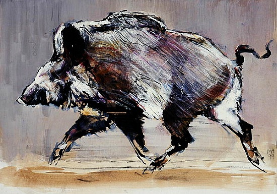 Running boar van Mark  Adlington