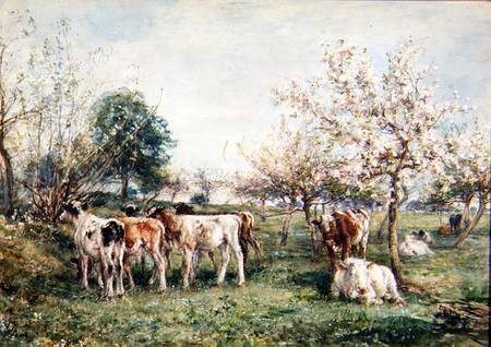 Calves in a Cherry Orchard van Mark Fisher