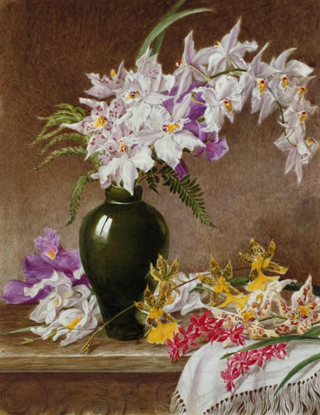 Orchids in a Vase van Mary Elizabeth Duffield