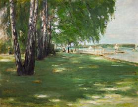 De tuin van de kunstenaar in Wannsee: berkenbomen aan de oever van het meer 1918